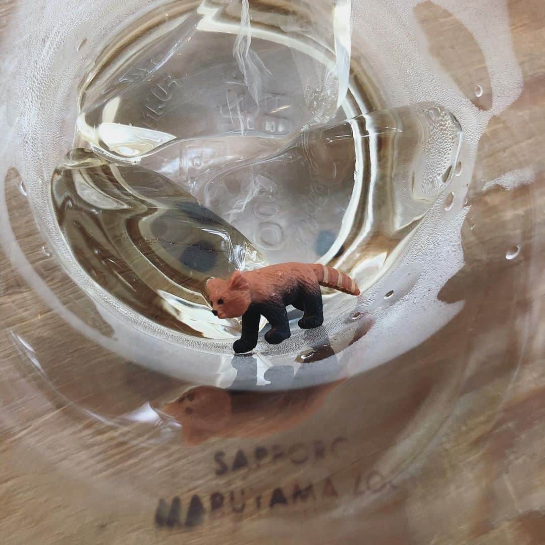 リー・ジャーインのグルメインスタ