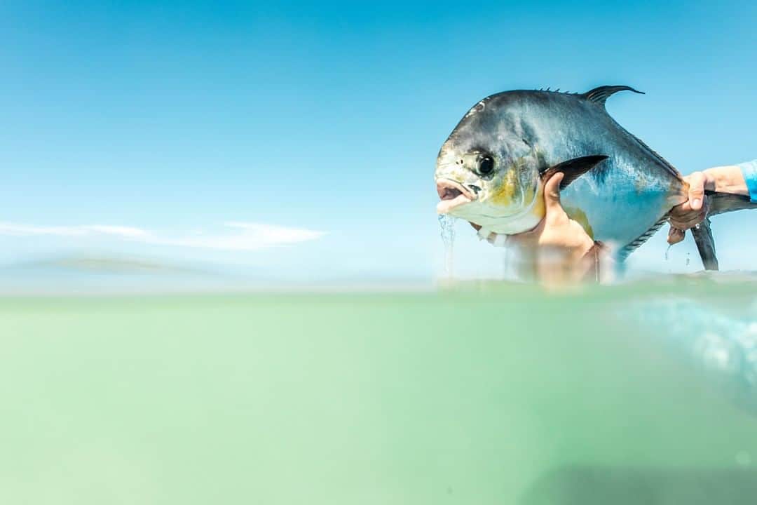 Costa Sunglassesのインスタグラム：「In the drink with the devil. #SeeWhatsOutThere」