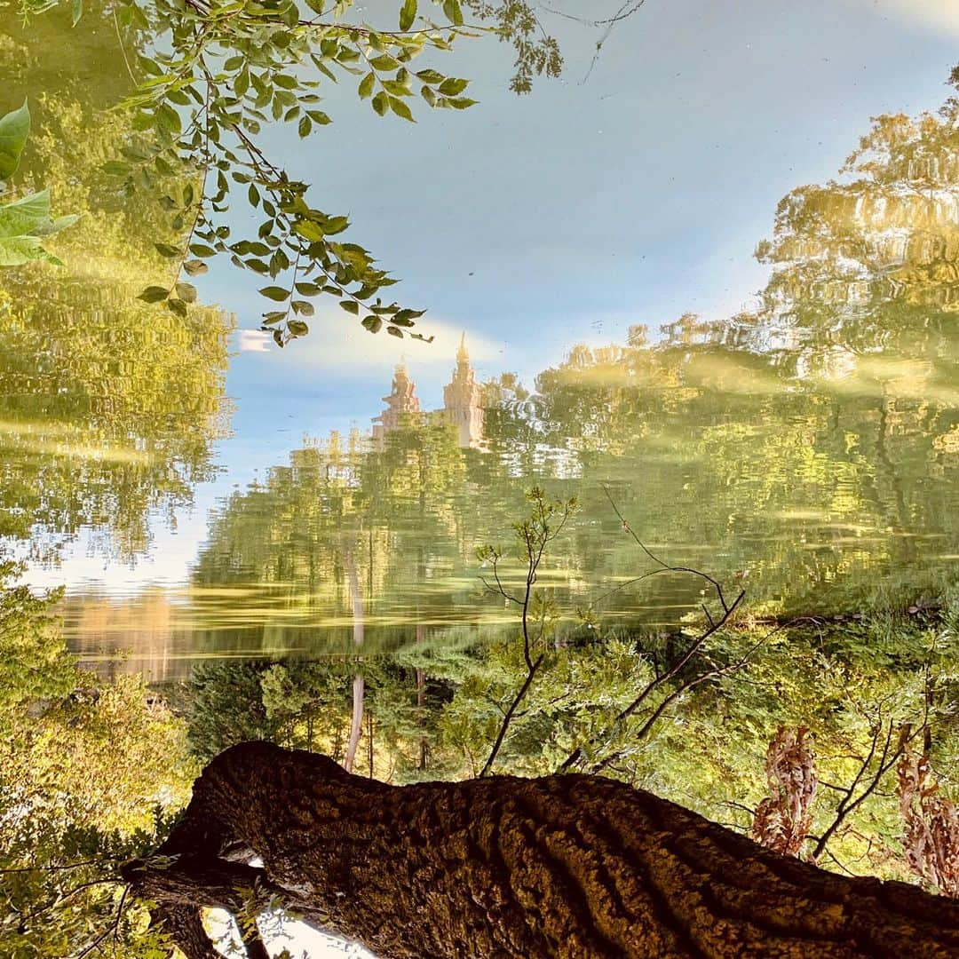 JULIEN D'YSさんのインスタグラム写真 - (JULIEN D'YSInstagram)「Irréel #newyork#centralpark quand l’eau devient le ciel 💚💙24.july.2019#dream#babylon vision in my eyes 👀」7月25日 6時47分 - juliendys