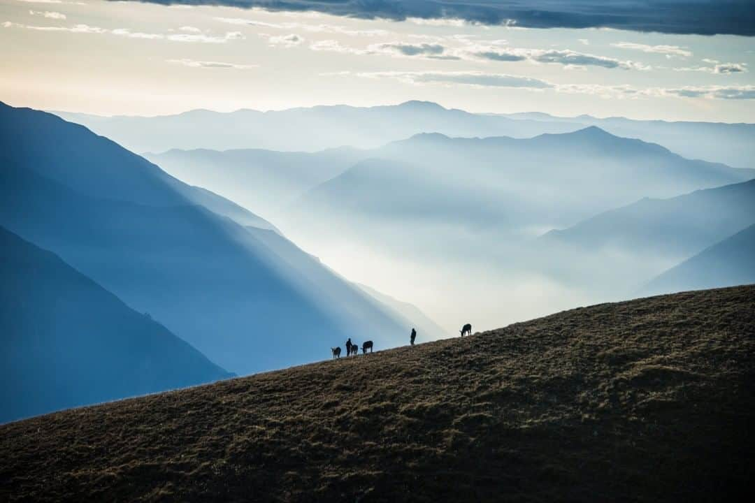 National Geographic Travelさんのインスタグラム写真 - (National Geographic TravelInstagram)「Photo by @andy_mann | High on the flanks of the cordillera blanca mountains of Peru, gauchos round up the burros that were left grazing overnight outside of camp. Peru is one of the worlds most eco-diverse regions of the world and should be on everyone's travel bucket list. Please follow me @andy_mann for more images from South America's wildest destinations.」7月25日 7時05分 - natgeotravel