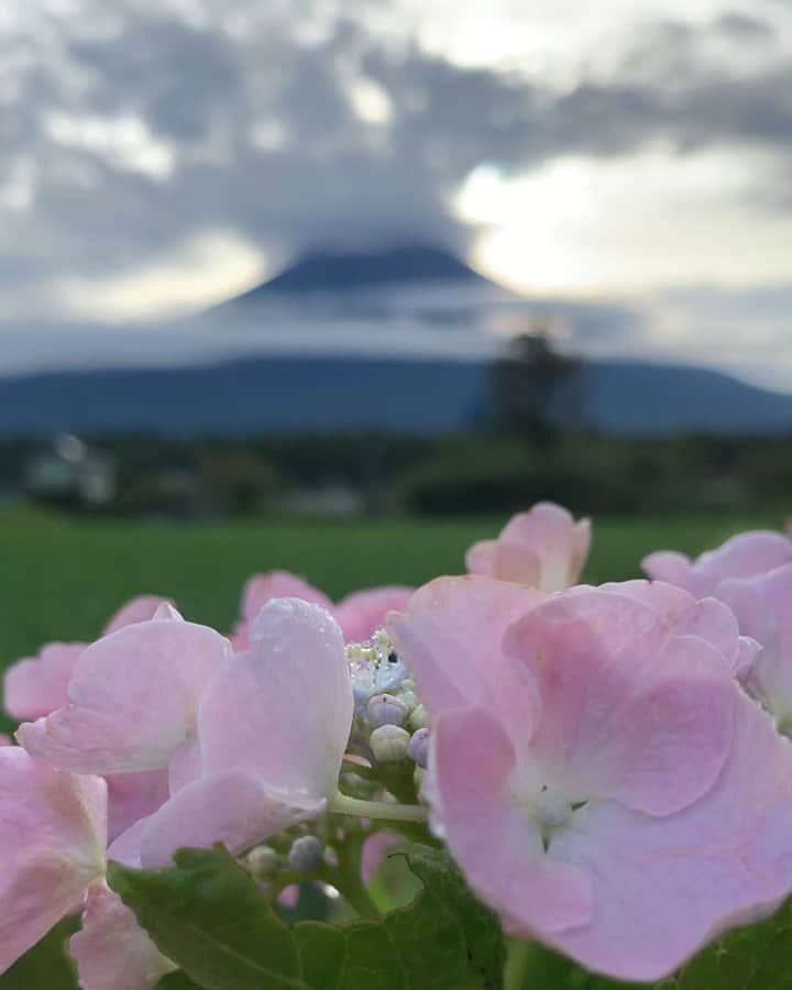 のインスタグラム：「. 🤩🤩“Shizuoka” prefecture in Japan is a place where you can see the most “phantastic” Mt. Fuji🗻 in the world.🤩 #富士山 #mtfuji #japan #shizuoka #fujinomiya  #phantastic420photography #mostphantasticmtfuji #selamatpagi  #goodmorning  #おはようございます 😇😇😇😇😇😇😇🗻😇😇 今朝は見えません🤣」
