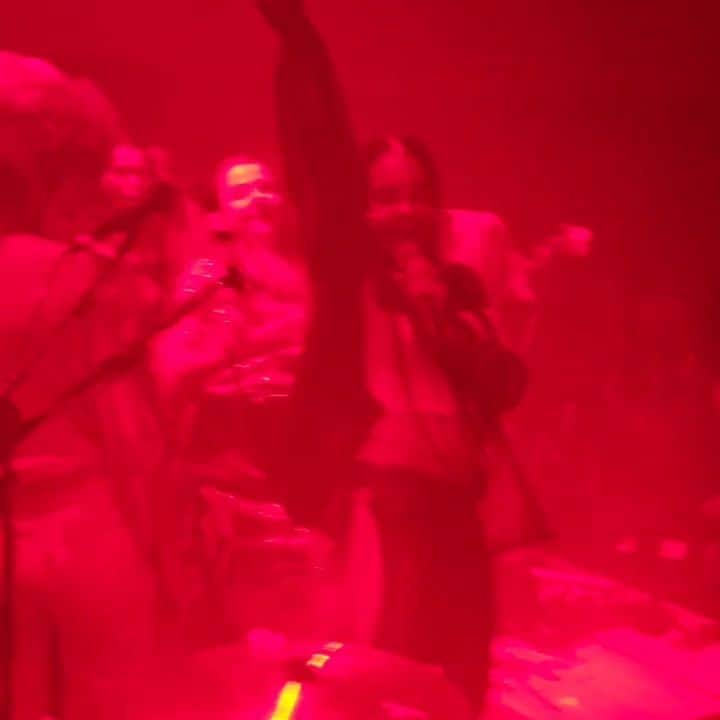 ナオミ・シマダのインスタグラム：「BABY LU IN ALL HER GLORY LAST NITE 🌹」