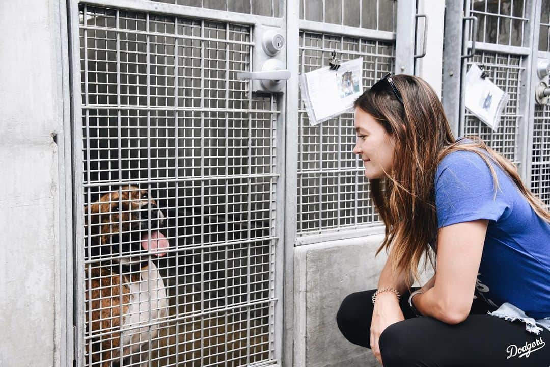 Los Angeles Dodgersさんのインスタグラム写真 - (Los Angeles DodgersInstagram)「Dodger wives took part in a day of service at the North Central Animal Service Center yesterday. They cleaned kennels, prepared food and made toys for the dogs and cats.」7月25日 7時46分 - dodgers