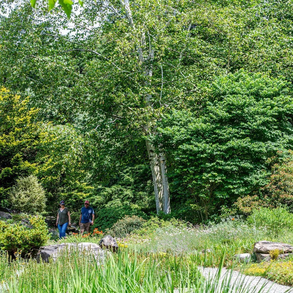 ニューヨーク植物園さんのインスタグラム写真 - (ニューヨーク植物園Instagram)「Last Wednesday, over 200 interns and seasonal employees joined us for a day of talks, games, and plant ID challenges at our 7th Annual Green Industry Intern Field Day hosted by NYBG’s School of Professional Horticulture. Thanks to all of our attendees for another incredible year. We look forward to seeing you all again soon!」7月25日 7時47分 - nybg