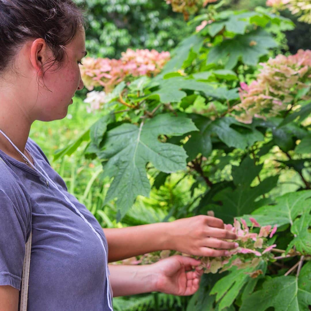 ニューヨーク植物園さんのインスタグラム写真 - (ニューヨーク植物園Instagram)「Last Wednesday, over 200 interns and seasonal employees joined us for a day of talks, games, and plant ID challenges at our 7th Annual Green Industry Intern Field Day hosted by NYBG’s School of Professional Horticulture. Thanks to all of our attendees for another incredible year. We look forward to seeing you all again soon!」7月25日 7時47分 - nybg