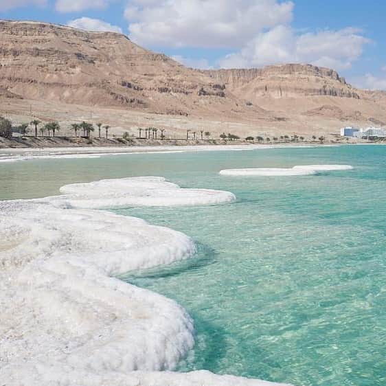 Nablus Japanさんのインスタグラム写真 - (Nablus JapanInstagram)「世界一地表が低い位置に存在する死海には、26種類の豊富なミネラルがあります。 そのうち12種類は死海のみに含まれる希少ミネラル。 死海の希少なミネラルは、リラクゼーション効果を生み出し、皮膚に栄養を与えてくれます。 . . #ナーブルスソープ  #死海の泥」7月25日 7時54分 - nablus.jp