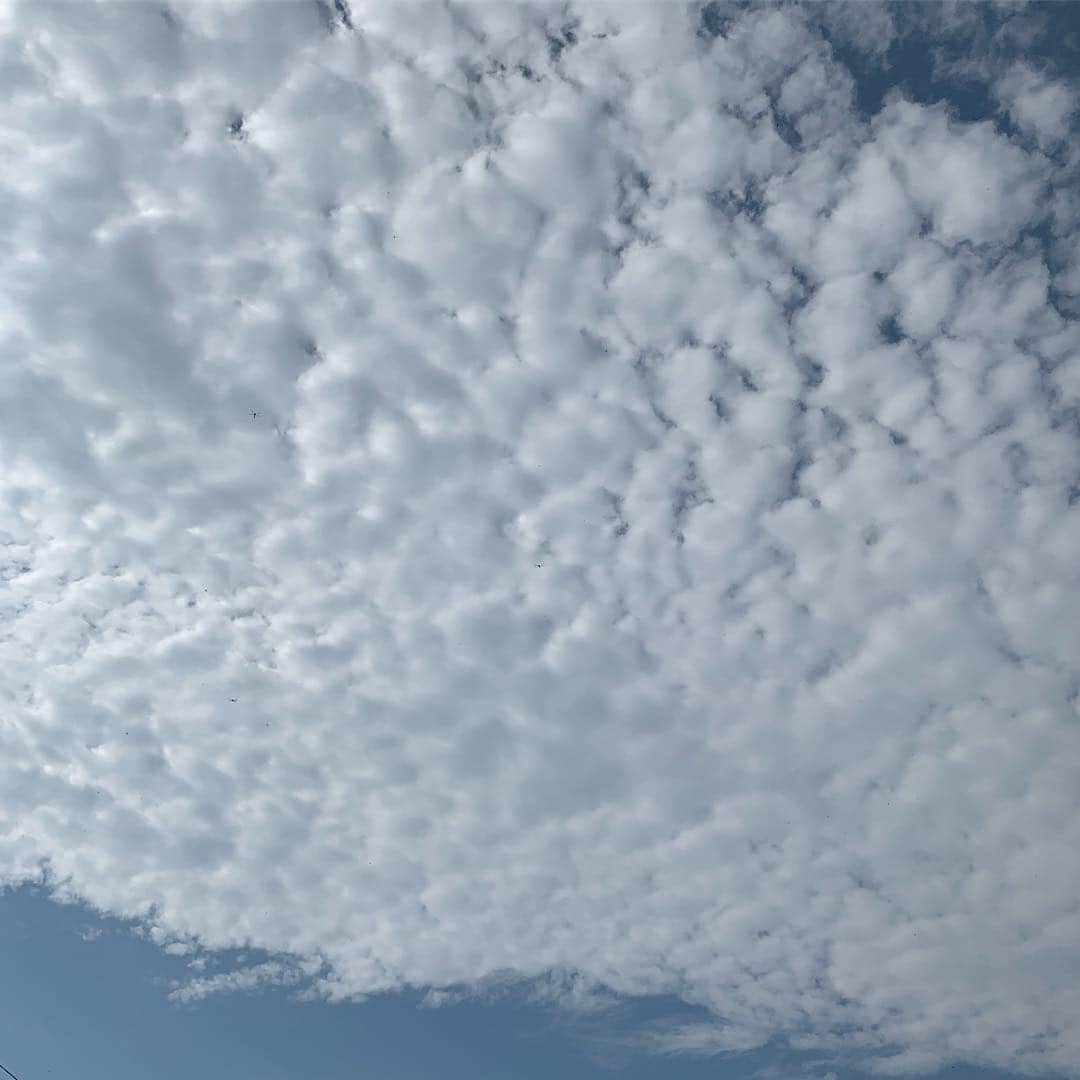 飯田カヅキさんのインスタグラム写真 - (飯田カヅキInstagram)「おはようございます。  #空 #sky #苗場」7月25日 8時10分 - kazukiiida_strange