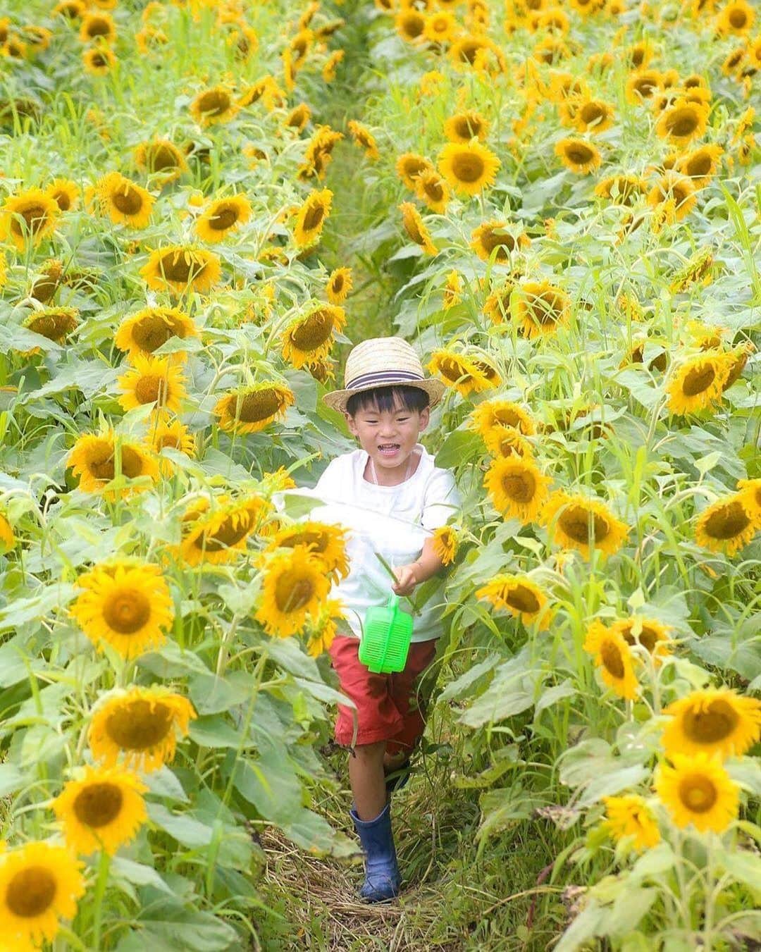 タビスルキッズのグルメインスタ