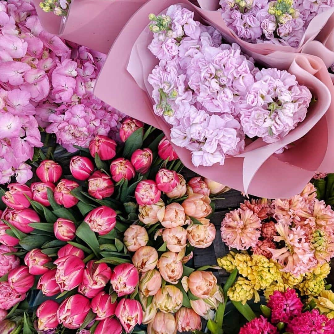 アイザックミズラヒさんのインスタグラム写真 - (アイザックミズラヒInstagram)「A floral frenzy...We’ll take ‘em all! 🌸🌷💐 #florals (repost 📸 @margarita_karenko )」7月25日 9時29分 - isaacmizrahiny