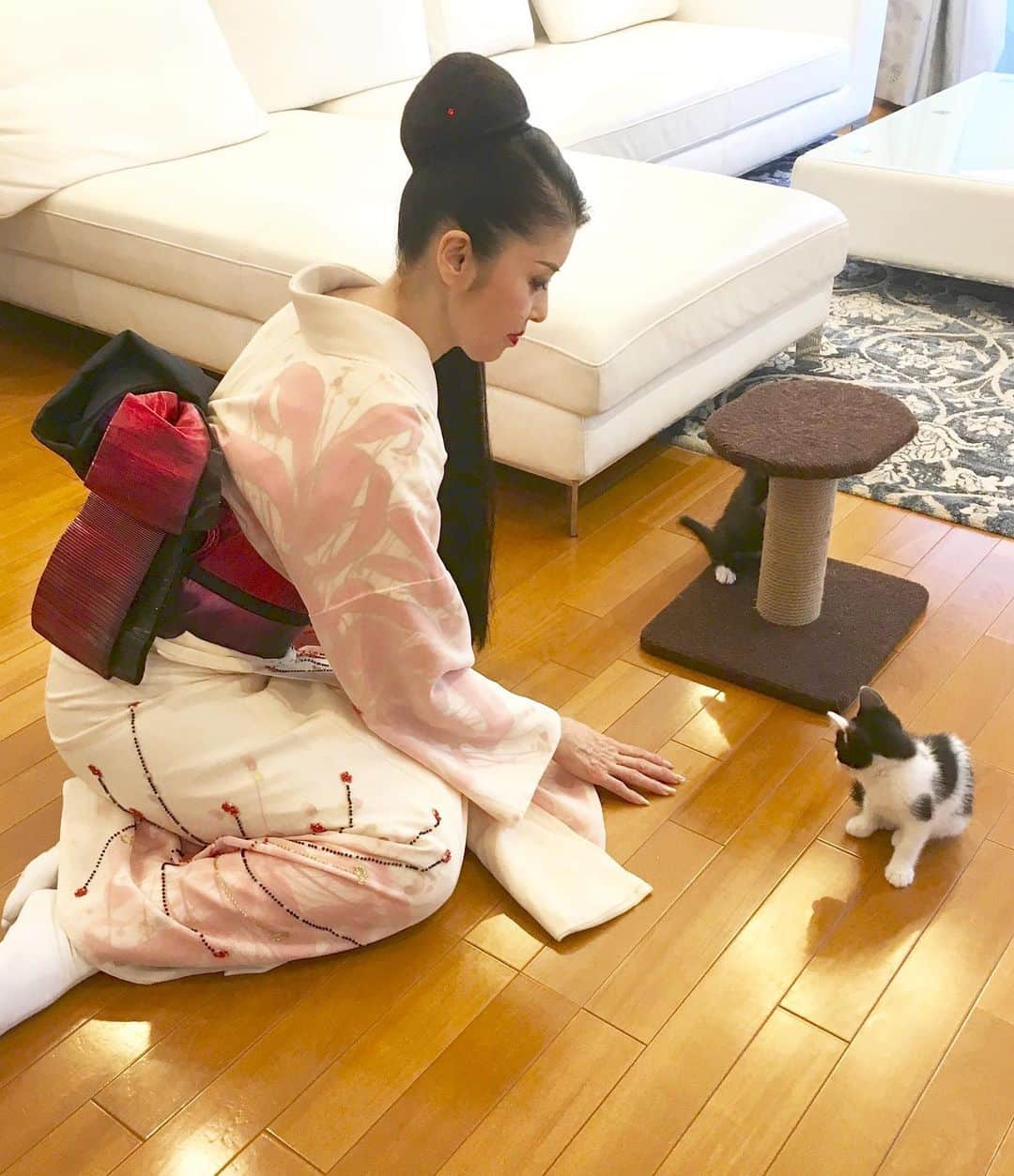 藤あや子さんのインスタグラム写真 - (藤あや子Instagram)「昨日は歌番組の収録があり、終わるなり着替えずにすぐ帰ってきました👘💨 #マルとオレオ #マルオレ #1秒でも早く帰宅したくなる #着物 #kimono #rescuecat」7月25日 9時46分 - ayako_fuji_official