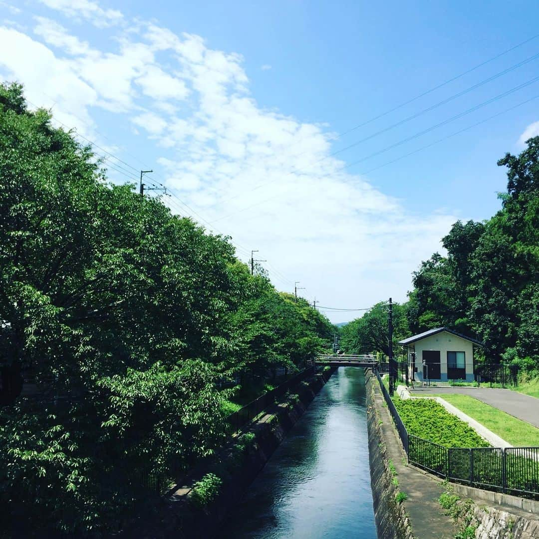 彩住宅さんのインスタグラム写真 - (彩住宅Instagram)「#琵琶湖疎水#イマソラ#夏空#sky#kyoto#shiga#japan」7月25日 10時48分 - saijyutaku