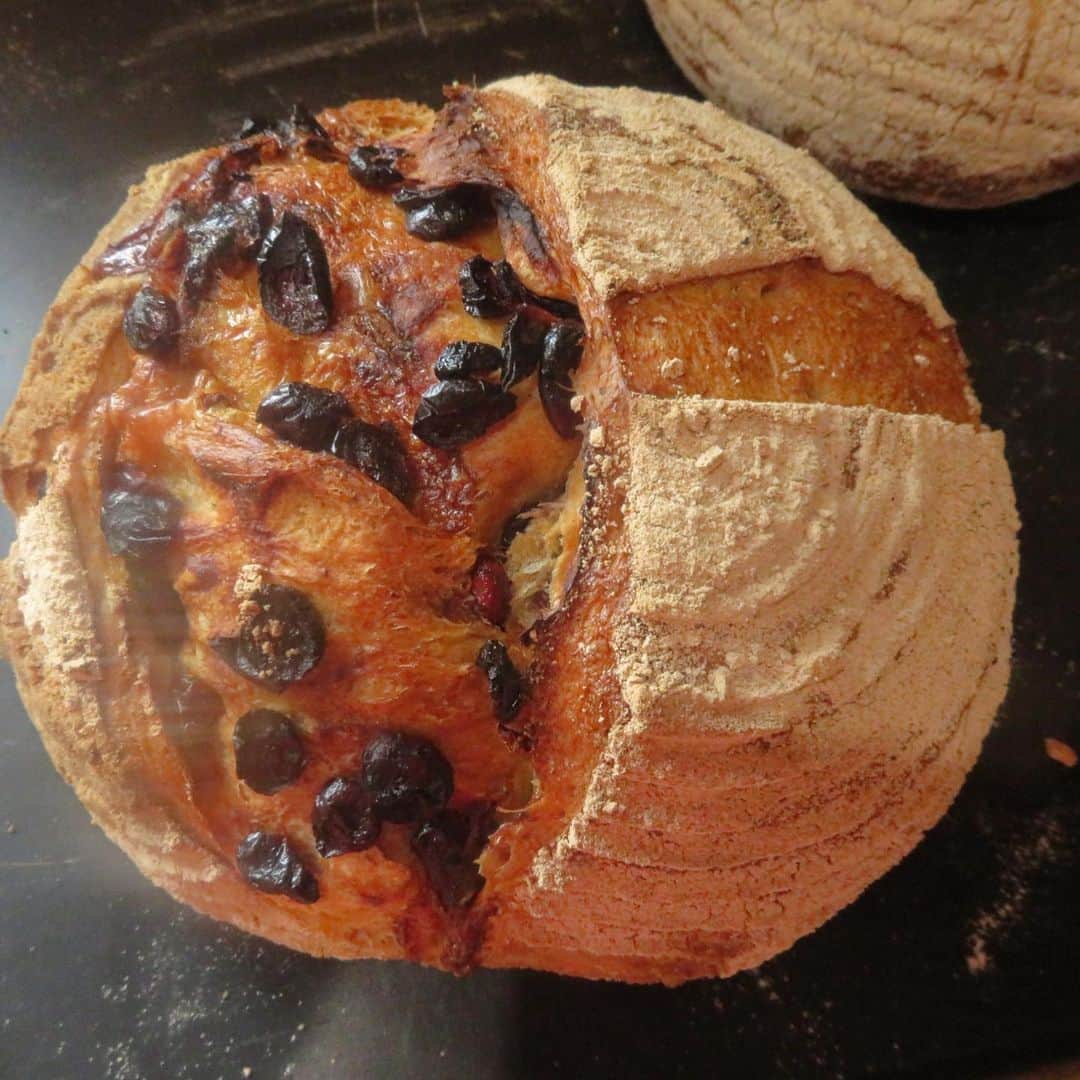 魔女菅原のグルメインスタ