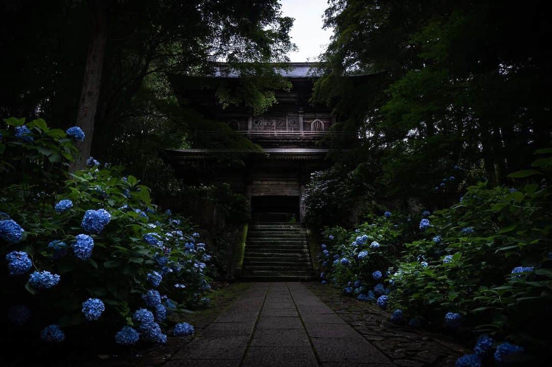 田村幸士のインスタグラム：「. みなかみエリアは今が紫陽花のピーク。 群馬県みなかみ町にある泰寧寺。 本堂に続く参道は山寺ならではの雰囲気。 あまり知られていないので日中でも貸切状態でした。 . 月夜野ICから苗場に向かう道中から5分のところにあるのでフジロックのついでに是非！ . . . . #minakami #hydrangealove #hydrangeas #floweraddict #jp_gallery #japanko_official #tokyocameraclub #visitjapanjp #team_jp_ #nipponpic #daily_photo_jpn #lovers_nippon #myfujilove #fujilove #fujixfam #wonderful_places #discoverer #CBviews #living_destinations #japanesetemple #japantrip #fujirock #みなかみ #泰寧寺 #紫陽花 #アジサイ #あじさい #あじさい寺 #紫陽花寺 #フジロック」