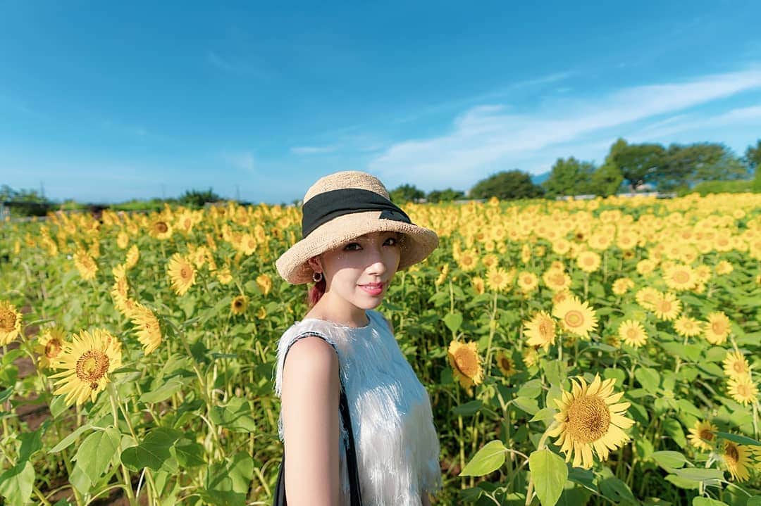 貴愛kwiae Officialのインスタグラム：「ウキウキな夏希望なんですが、 今年は制作がんばるので 引きこもります🙏🙃 * * 合間にいぇーいめっちゃホリデイする。 * * #summer #like #sunflower  #ひまわり photo by @joyloustokyo」