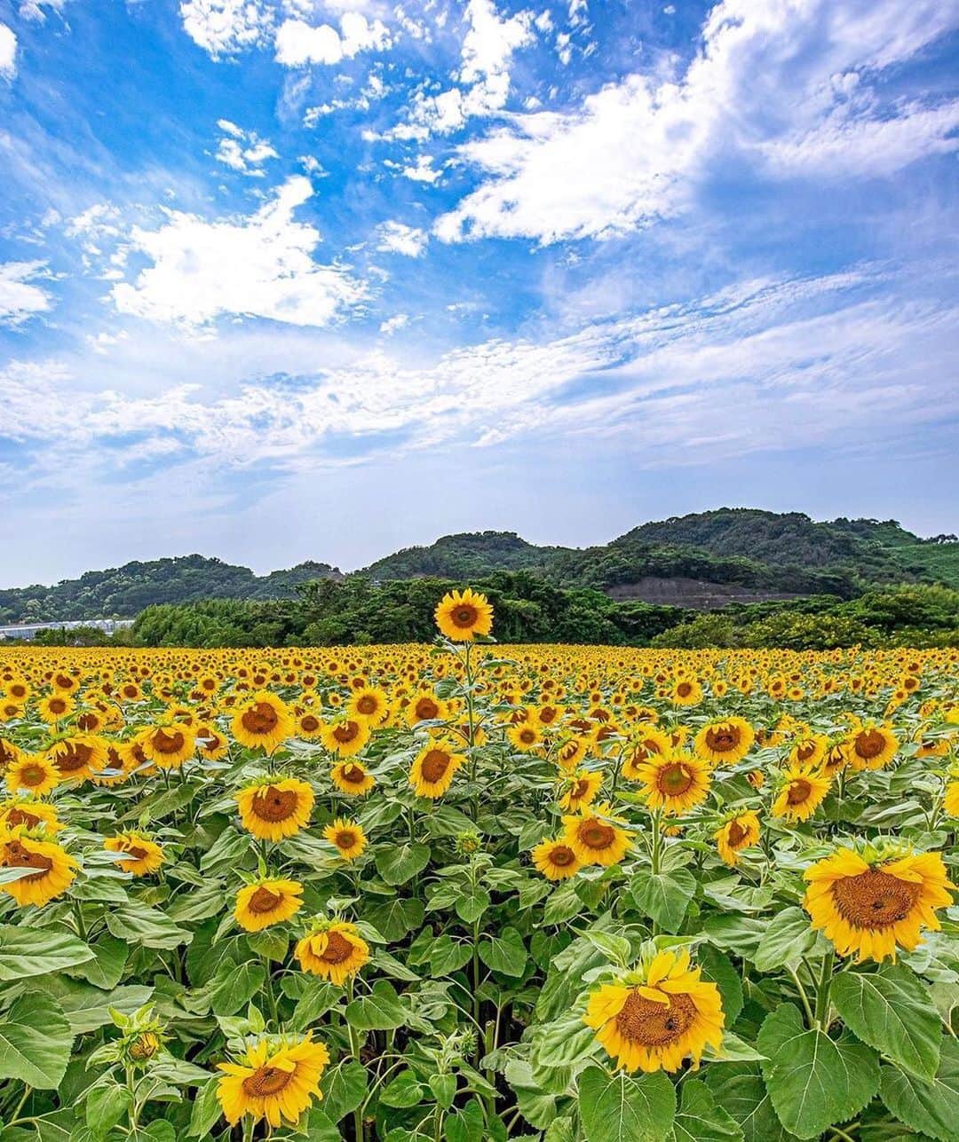 LeTRONC ルトロンのグルメインスタ