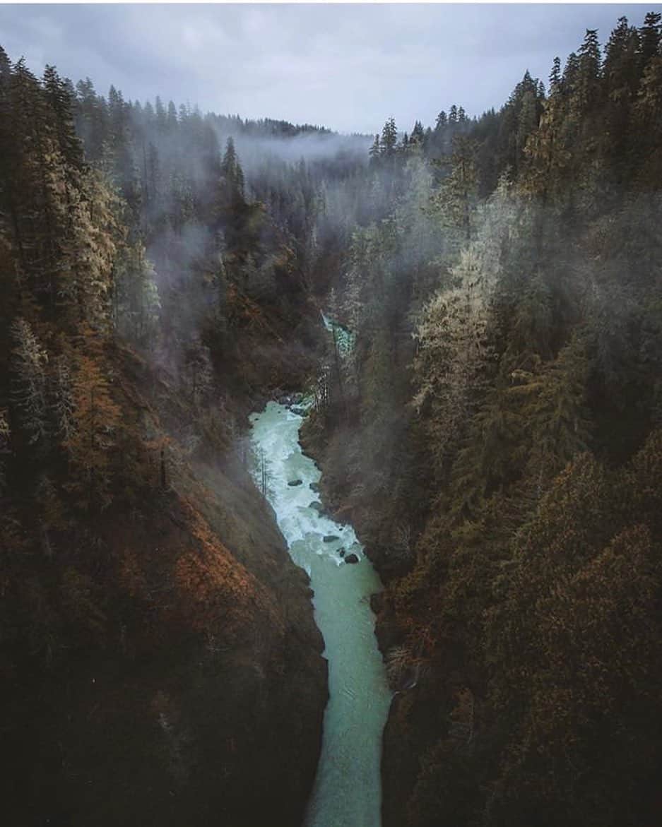 FOLKさんのインスタグラム写真 - (FOLKInstagram)「Another reminder of how the PNW is calling. Photo by @kylekotajarvi」7月25日 22時44分 - folkmagazine
