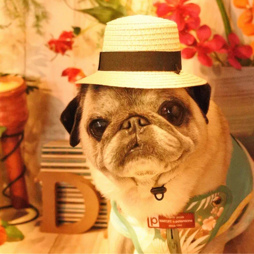 八兵衛のグルメインスタ