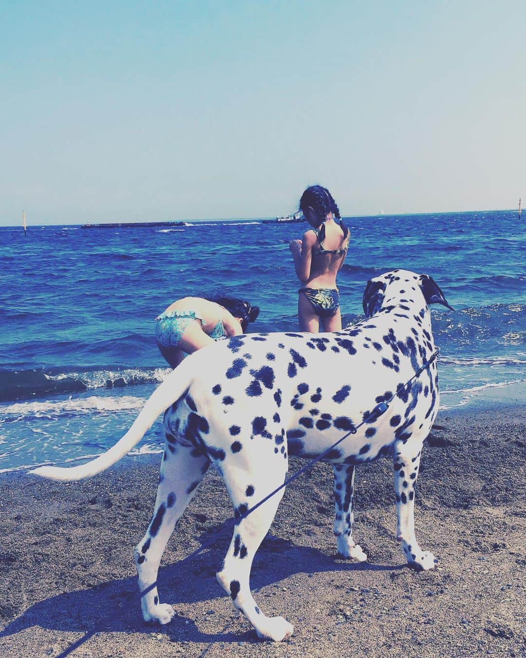 高岡早紀 さんのインスタグラム写真 - (高岡早紀 Instagram)「娘たちと海遊び。」7月25日 14時52分 - saki_takaoka
