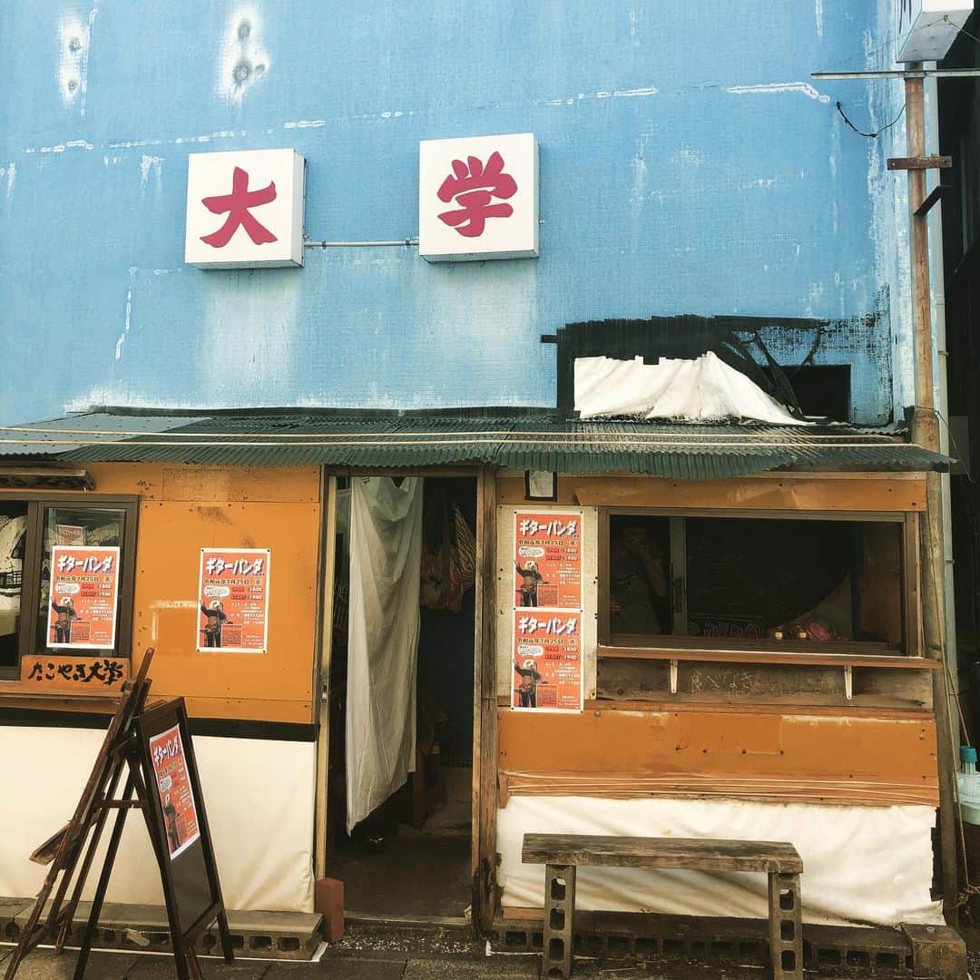 山川のりをのインスタグラム：「今日から四国シリーズです！今夜は土佐清水市の元 大学にてギターパンダ  ライブです。18時/19時、2500円D付き/3000円D付きです。魅惑のワンマンショー！お近くの方々会いにきてアイニージュー！ライブスケジュールはguitarpanda.net」