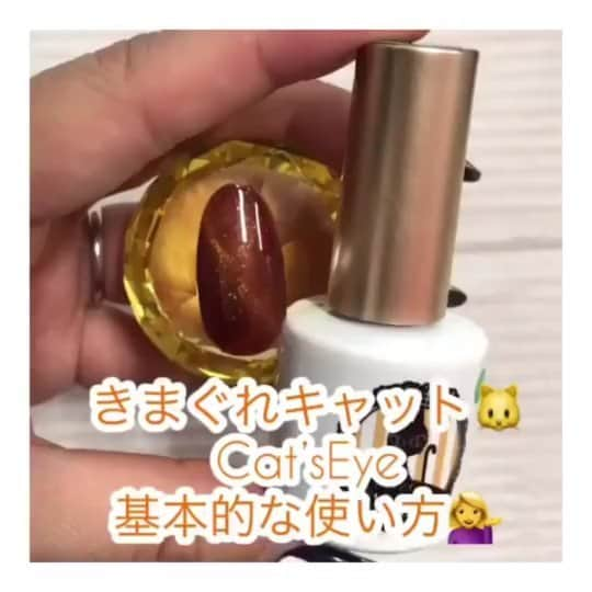 PREGELのインスタグラム