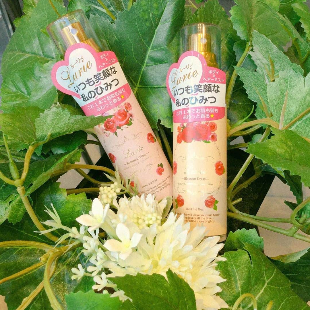 Toffy_Jiyugaokaのグルメインスタ