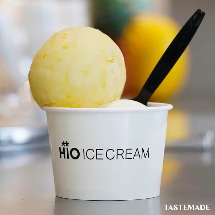 テイストメイドのグルメインスタ