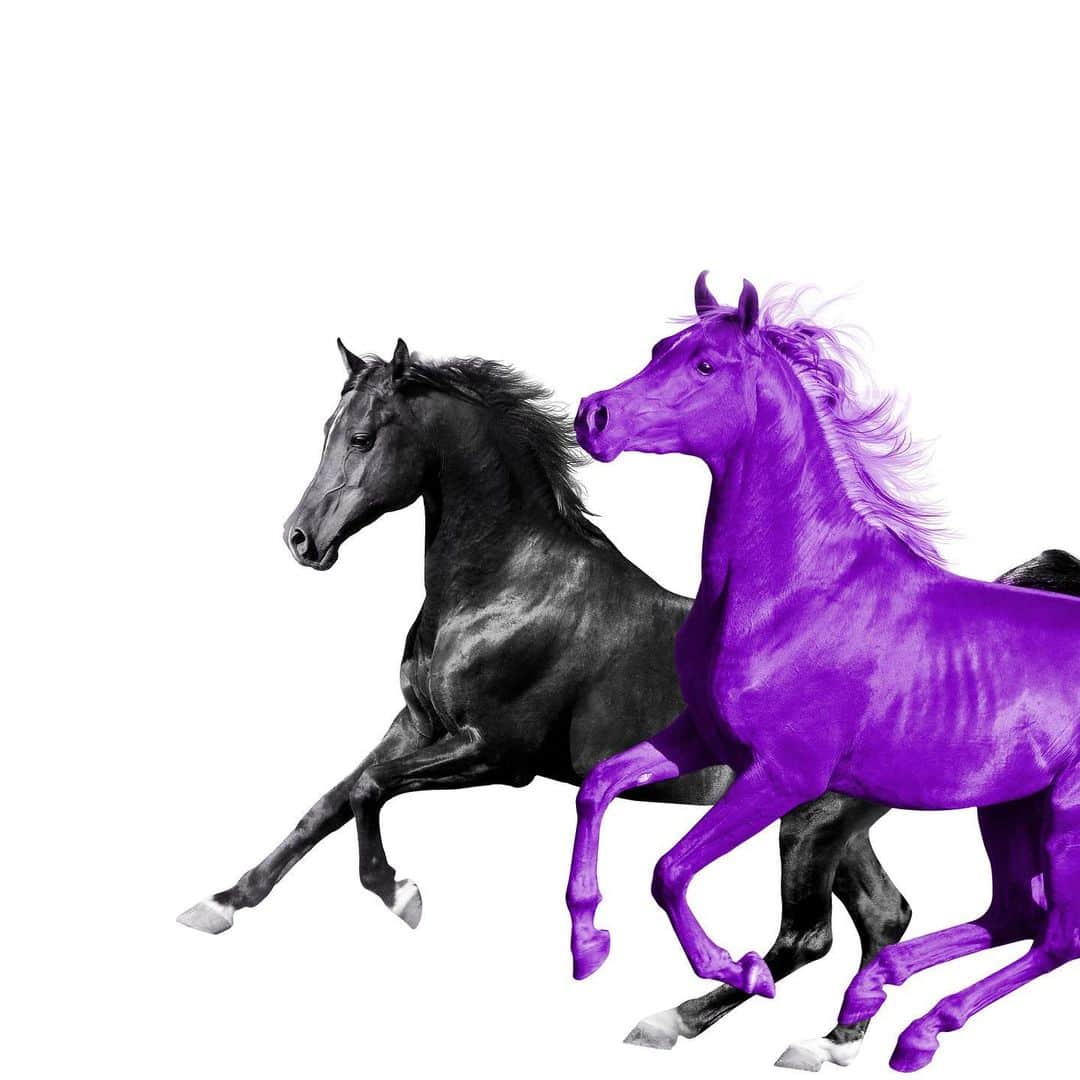 BBC Radioさんのインスタグラム写真 - (BBC RadioInstagram)「@lilnasx knowing he was about to drop #SeoulTownRoad with RM 💜🐎 @bts.bighitofficial」7月25日 17時06分 - bbcradio1