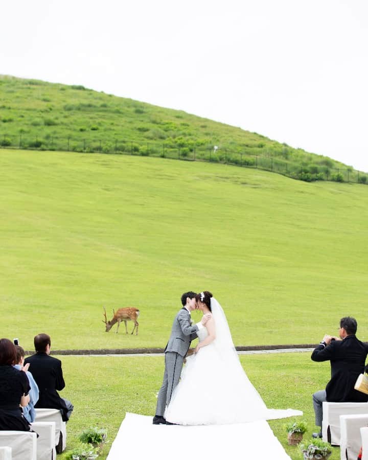 ザ・ヒルトップテラス奈良のグルメインスタ