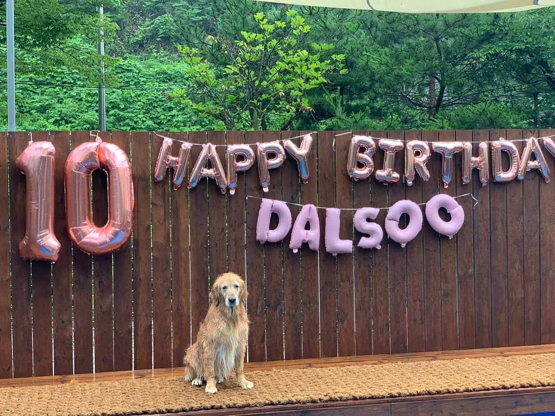 ムン・ジョンヒさんのインスタグラム写真 - (ムン・ジョンヒInstagram)「#마누manu #달수dalsoo #철수cheolsoo #생파 #happybirthday #10살생일날 #축하해요 #풀장생파  우리 달수 생일 파뤼♡ 우리모두 행복하게 보냈어요~  @wooridalsoo @dalsoo_brother @ohmizzang_12」7月25日 17時48分 - jeonghee_moon