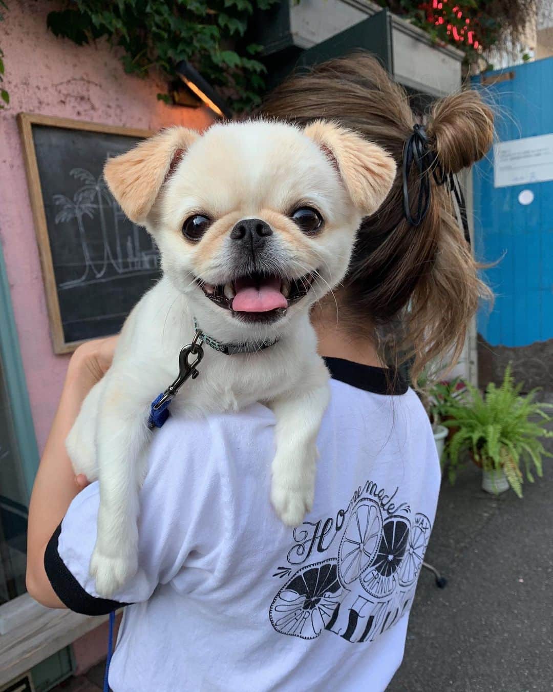 おもちくんのグルメインスタ