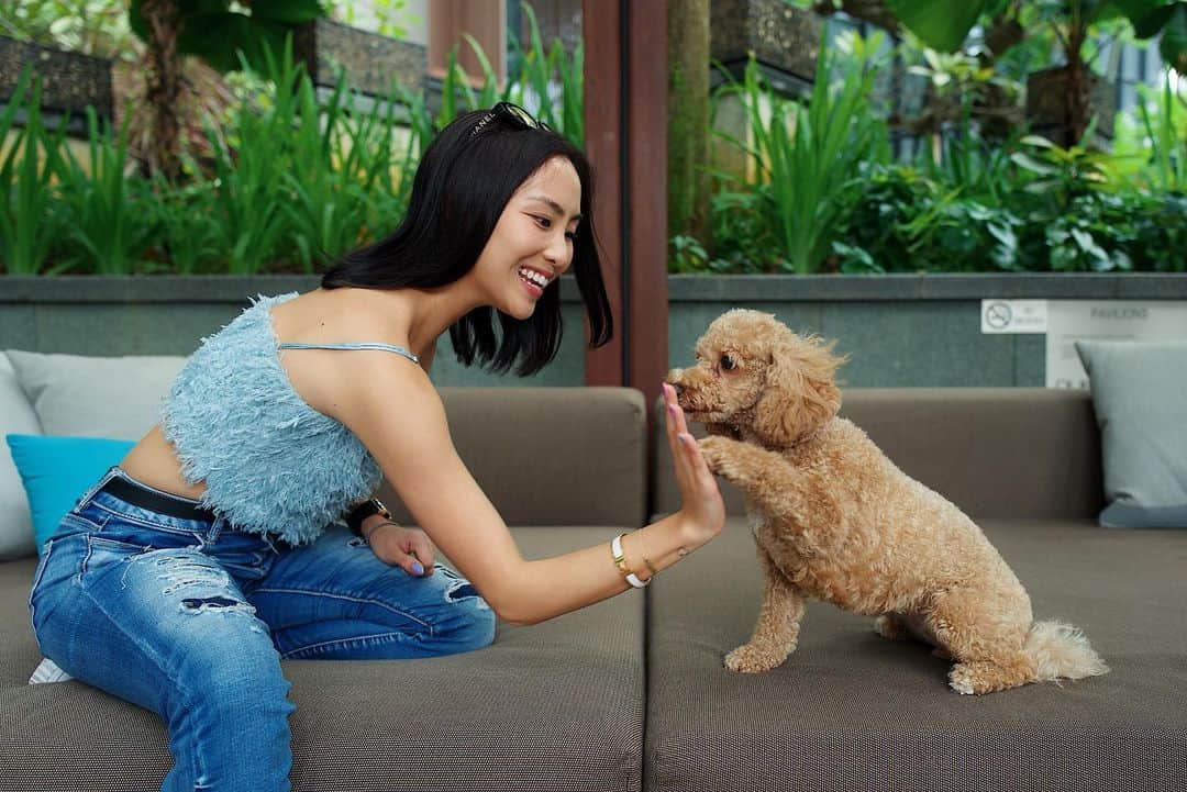 ソニアのインスタグラム：「Ok no one told me it was so hard to get a hi-five with a doggo 🤣🤣 @spotpots . For every creative high-5 you post with the hashtag #AXAEpic5ForGood, @axa.singapore donates $5 to a donation pool for the Singapore Cancer Society and SportCares! You can do it any way you want with your friends, pets, family, everyone! . Don’t forget to tag 5 other people to take on the challenge too! I’m tagging @mothershipsg @germaineleonora @muttons @nicolequek @so_fieeee!  Hope to see those pictures soon 👋🏻 #AXAEpic5ForGood」
