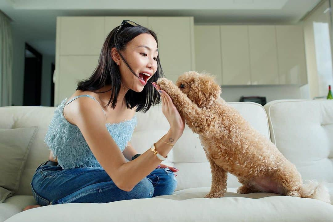 ソニアさんのインスタグラム写真 - (ソニアInstagram)「Ok no one told me it was so hard to get a hi-five with a doggo 🤣🤣 @spotpots . For every creative high-5 you post with the hashtag #AXAEpic5ForGood, @axa.singapore donates $5 to a donation pool for the Singapore Cancer Society and SportCares! You can do it any way you want with your friends, pets, family, everyone! . Don’t forget to tag 5 other people to take on the challenge too! I’m tagging @mothershipsg @germaineleonora @muttons @nicolequek @so_fieeee!  Hope to see those pictures soon 👋🏻 #AXAEpic5ForGood」7月25日 18時44分 - soniachew