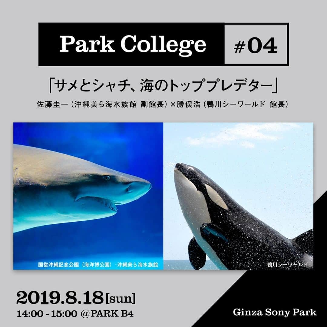 のインスタグラム：「[#ParkCollege] ⁠ 8/18(日) 14:00～ #ParkCollege を開催します。⁠ 沖縄美ら海水族館 副館長の佐藤圭一氏と、鴨川シーワールド 館長の勝俣浩氏をお迎えし、「サメとシャチ、海のトッププレデター」をテーマに、両水族館における長年の飼育と研究から得られた知見や知られざる生態について、大人も子供も楽しめる興味深い内容を、わかりやすくひも解いていきます。⁠ 第四回目となる今回は、7/26(金)から開催する「Sony Aquarium 2019」との連動企画です。⁠ ⁠ ■日時：2019/8/18(日) 14:00～15:00⁠ ※ 13:30に受付を開始いたします。なるべく開始10分前までにお越しください。⁠ ⁠ ■会場：Ginza Sony Park 地下4階⁠ ⁠ ■料金：500円（ワンドリンク、シート付き）⁠ ※ 先着40名様までの予約販売になります。⁠ ※ peatixでお申し込みください⁠ https://ginzasonypark-parkcollege04.peatix.com/⁠ ⁠ ■ゲスト： 沖縄美ら海水族館 佐藤圭一⁠ 鴨川シ―ワールド 勝俣浩⁠ ⁠ #ginzasonypark #銀座ソニーパーク #sonyaquarium2019 #ソニーアクアリウム #トークイベント #サメ #シャチ #トッププレデター #沖縄美ら海水族館 #佐藤圭一 #鴨川シ―ワールド #勝俣浩 #parkcollege」
