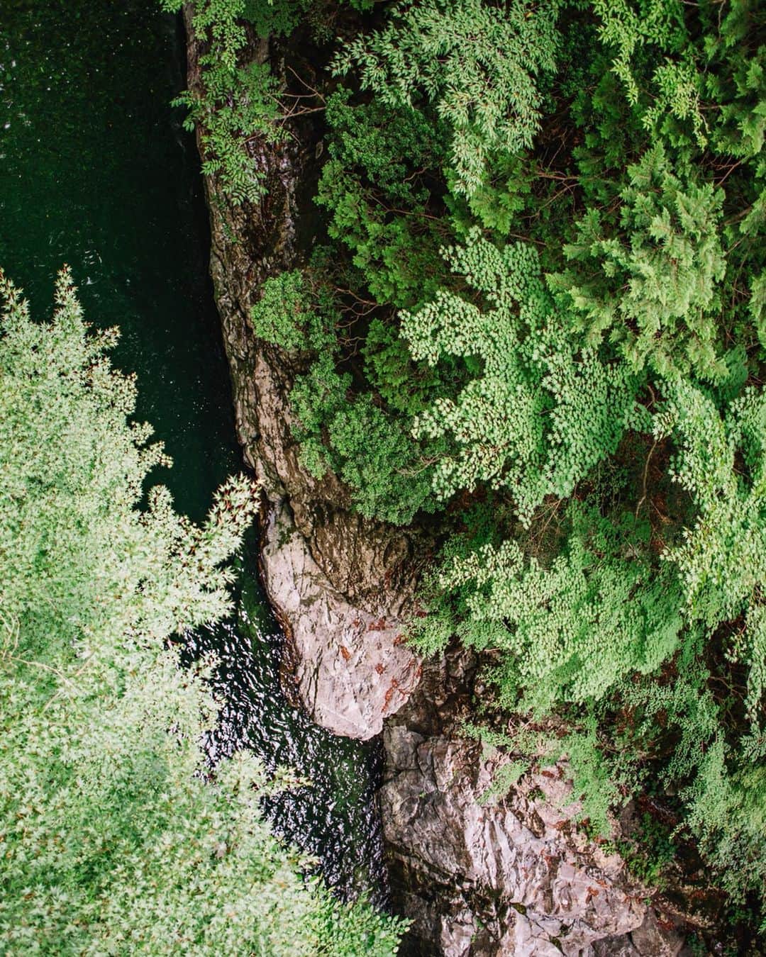 fuka_09さんのインスタグラム写真 - (fuka_09Instagram)「﻿ Forest green﻿ ﻿ ﻿ 🌿﻿ ﻿ こういう自然を撮ってる自分が﻿ 1番生き生きしてるのではないか…﻿ と思ってます 笑﻿ ﻿ #みたらい渓谷﻿ #わたしは奈良派﻿ @watashiha_naraha_official」7月25日 19時29分 - fuka_09