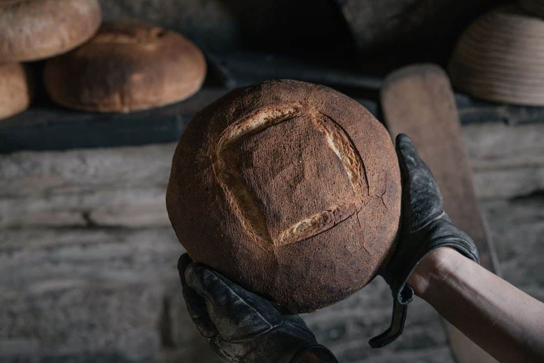 ヒラハルさんのインスタグラム写真 - (ヒラハルInstagram)「みまきかんぱーにゅ 【みまきカンパーニュ】 ・ 〔名詞〕小麦酵母で24時間発酵させ、薪窯で焼いた食事パン。薄いクラストと小麦本来の甘みが引き出されたクラムが特徴である。「みまきカンパーニュ」のみまきは、わざわざのある長野県東御市御牧原の地名からつけられた。主張しない飽きのこない味を目指して焼いている。 ・ 〔メーカー〕わざわざ ・ 〔材質〕小麦粉、塩 ・ 〔サイズ〕ホール、ハーフ1/2 ・ 〔相方〕Beehive はちみつ、ソーセージハム男のソーセージ ・ 〔属性〕毎週木金土に焼いて出荷 ・ 〔わざわざ賄い使用率〕100% ・ 〔対抗馬〕 角食 ・ 〔縁〕 一人でパン屋を始めた時に、いつかでっかい薪窯ででっかいカンパーニュを、どんどこ焼くだけのパン屋になりたいと願いました。今でもカンパが一番好き。 ・ 〔使い勝手〕焼きたてを食べたら、一言、「うんまっっ！！」これ、わざわざの賄い中にスタッフから聞こえてくる言葉。わざわざのカンパーニュ、ジャムやバターに合うのはもちろんですが、きんぴらや煮物等の和食にも合う、ご飯になるパンなんです。薪窯で焼いているから焼きの美味さがクラスト（皮）に凝縮されています。正直食べるの止まりません。時間があればずっと食べていたい。 そんな気持ちになるわざわざのカンパーニュ、今日も、うんまっっっ！！ ・ 〔URL〕https://wazawaza.shop-pro.jp/?pid=48898145 ・ #bread #みまきカンパーニュ #パンと日用品の店わざわざ #薪窯 #カンパーニュ #薪窯パン」7月25日 19時40分 - wazawazapan