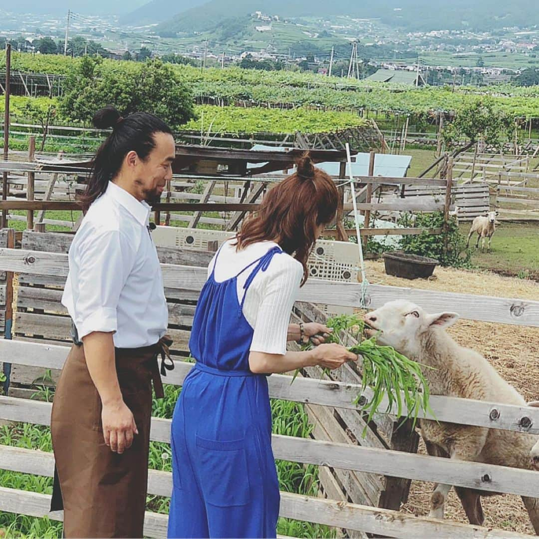 安田美沙子さんのインスタグラム写真 - (安田美沙子Instagram)「明日は、フジテレビ ノンストップ生放送です。 先日行って来た山梨の模様も放送されます😊❤️ 美味しいワインや、ステキな自然の景色、あまーい桃🍑 おススメな場所が盛りだくさんです！ご褒美がギュッと詰まったロケになっていますので、ぜひご覧ください。もう山梨女子旅したくなっている。。🍇 すいません、山梨の放送は、8/2でした😭 8/2もノンストップに出演しますので、ぜひご覧いただければと思います。勘違いごめんなさい💦 . . . #instagood #yamanashi #ノンストップ #生放送 #thanks」7月25日 19時48分 - yasuda_misako