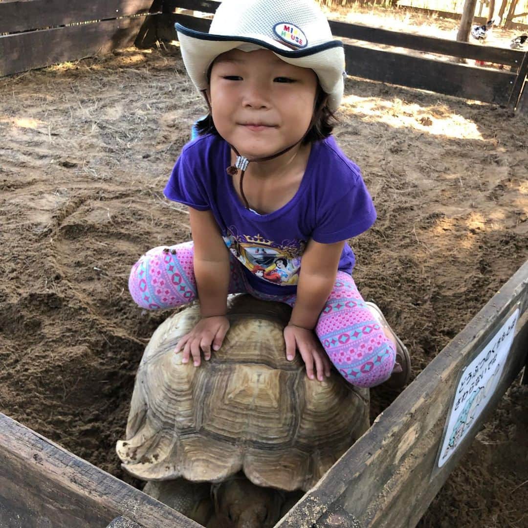 せんももあいしーのグルメインスタ