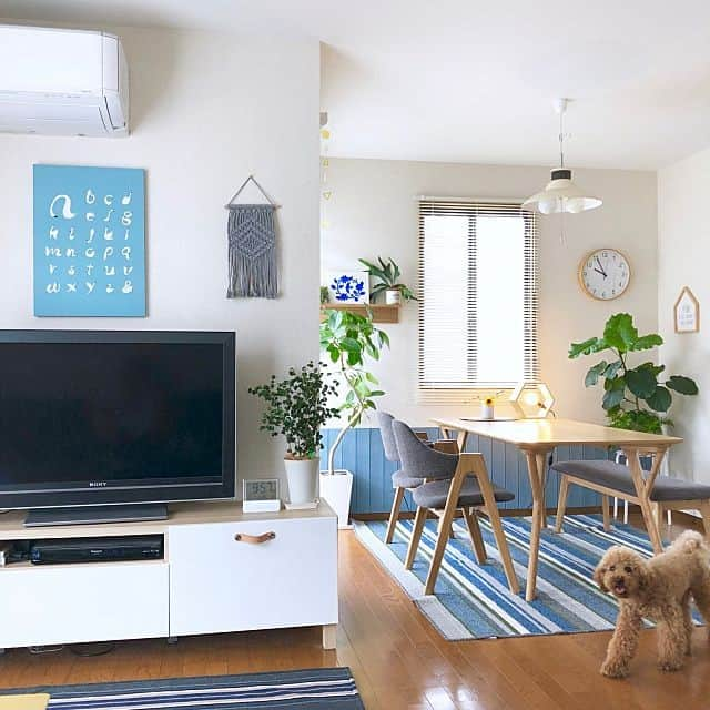 RoomClipJPさんのインスタグラム写真 - (RoomClipJPInstagram)「『ダイニングラグのある部屋』椅子による傷から床を守り部屋の印象も変わるダイニングラグ。汚れても自宅で洗えるものが人気。100枚のダイニングラグの部屋実例を参考にしてみてください⁠ .⁣⠀﻿⁠ Photo:blueberry(RoomNo.4366984)▶︎この部屋のインテリアはRoomClipのアプリからご覧いただけます。アプリはプロフィール欄から⁣⠀﻿⁠ .⁣⠀﻿⁠ 投稿イベント開催中です【まもなく終了する投稿イベント】『わが家のヘビロテ商品〜7/28』『「アイテムタグつけてね！」お気に入りのソファ〜7/28』⠀﻿⁠ .⁣⠀﻿⁠ #RoomClip#ルームクリップ#interior#instahome#インテリア#暮らし#日常#マイホーム#日々の暮らし#丁寧な暮らし#家#シンプルライフ#リビング#家具#インテリア雑貨#収納#シンプルインテリア#模様替え#整理収納#インテリア好き#インテリア小物#おしゃれな家#100均インテリア#おしゃれインテリア#インテリア家具#リノベーション#ラグ#ペットのいる暮らし#犬のいる暮らし#観葉植物」7月25日 20時30分 - roomclipjp