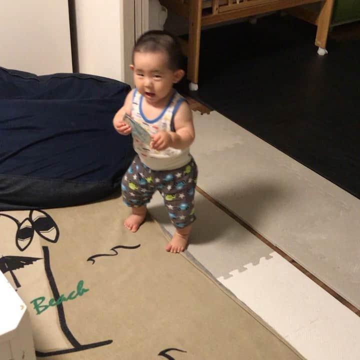 高橋みゆきのインスタグラム：「最近はよちよち歩いてます👶歩くのが楽しいみたいでニコニコ☺️💕 #よちよち歩き #倒れてもすぐ歩く #倒れて何度も壁に頭ぶつけてる #😭 #最近はクラ吉追い回す」
