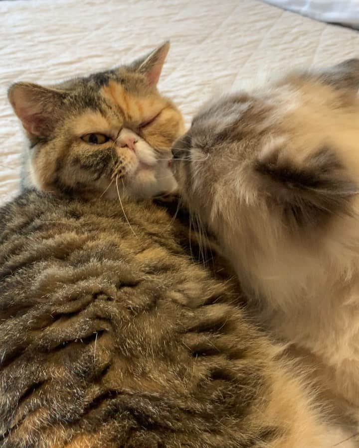 Tinaのインスタグラム：「That’s all I got...🤦🏻‍♀️😹」