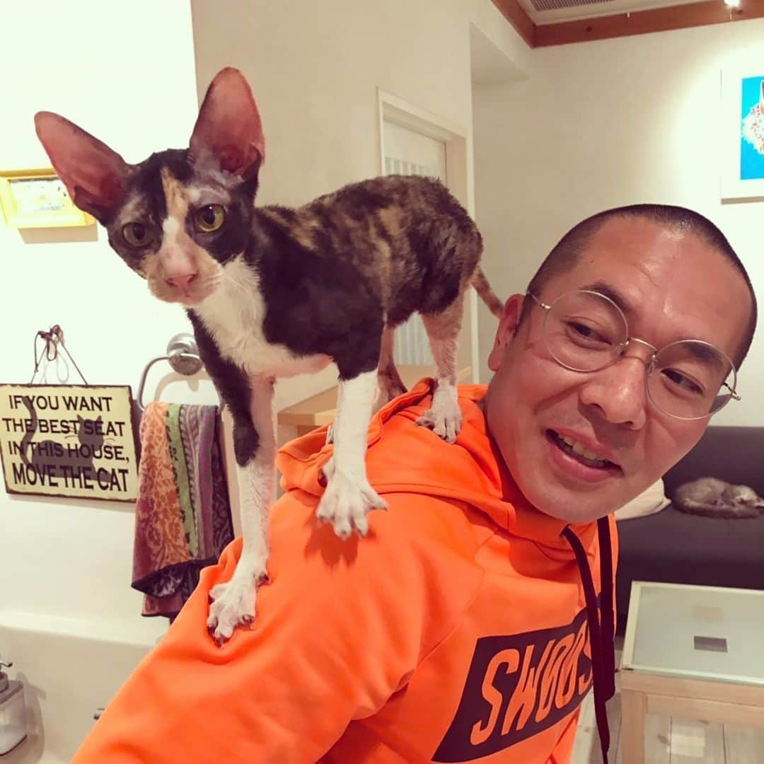 こにわのグルメインスタ