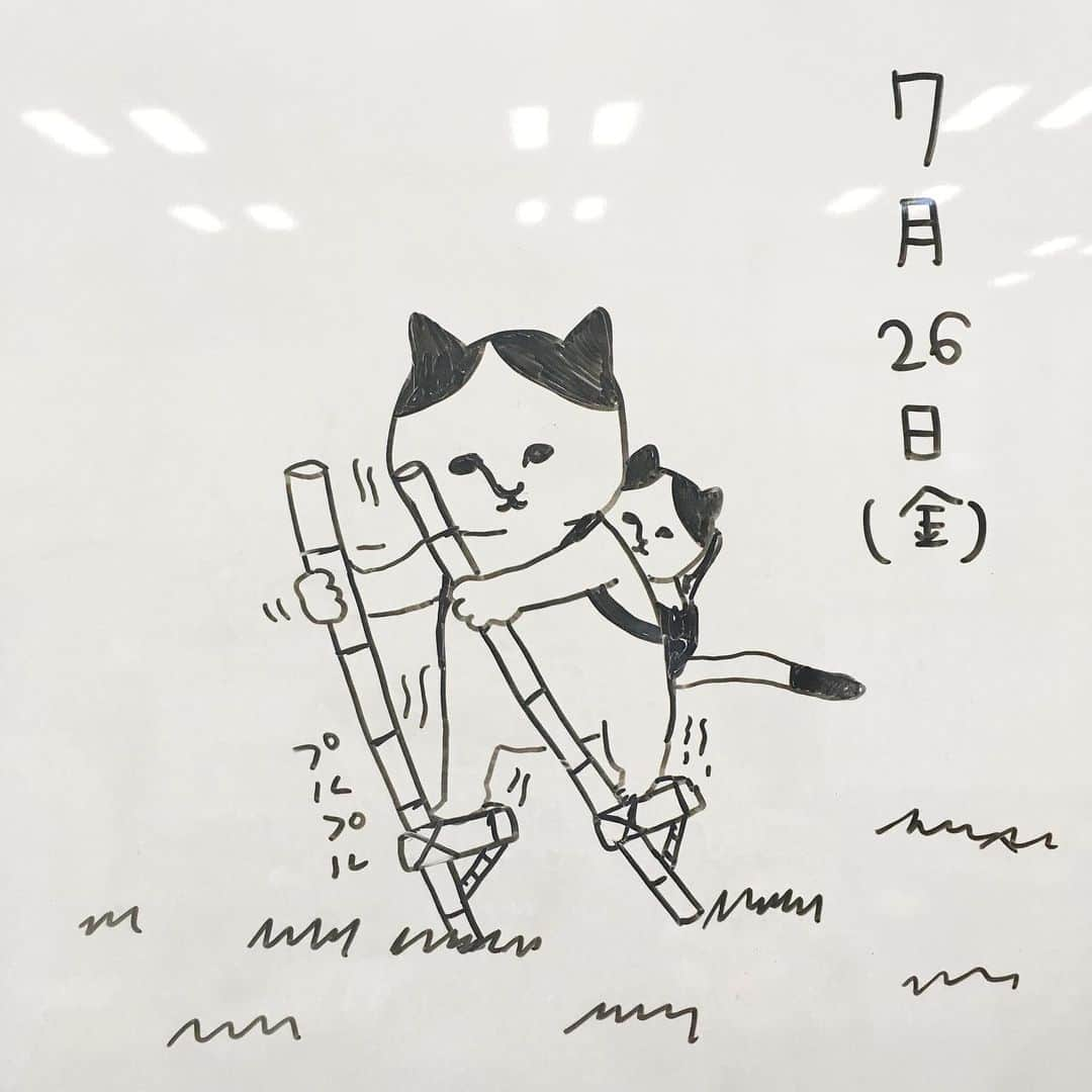 ねこのインスタグラム