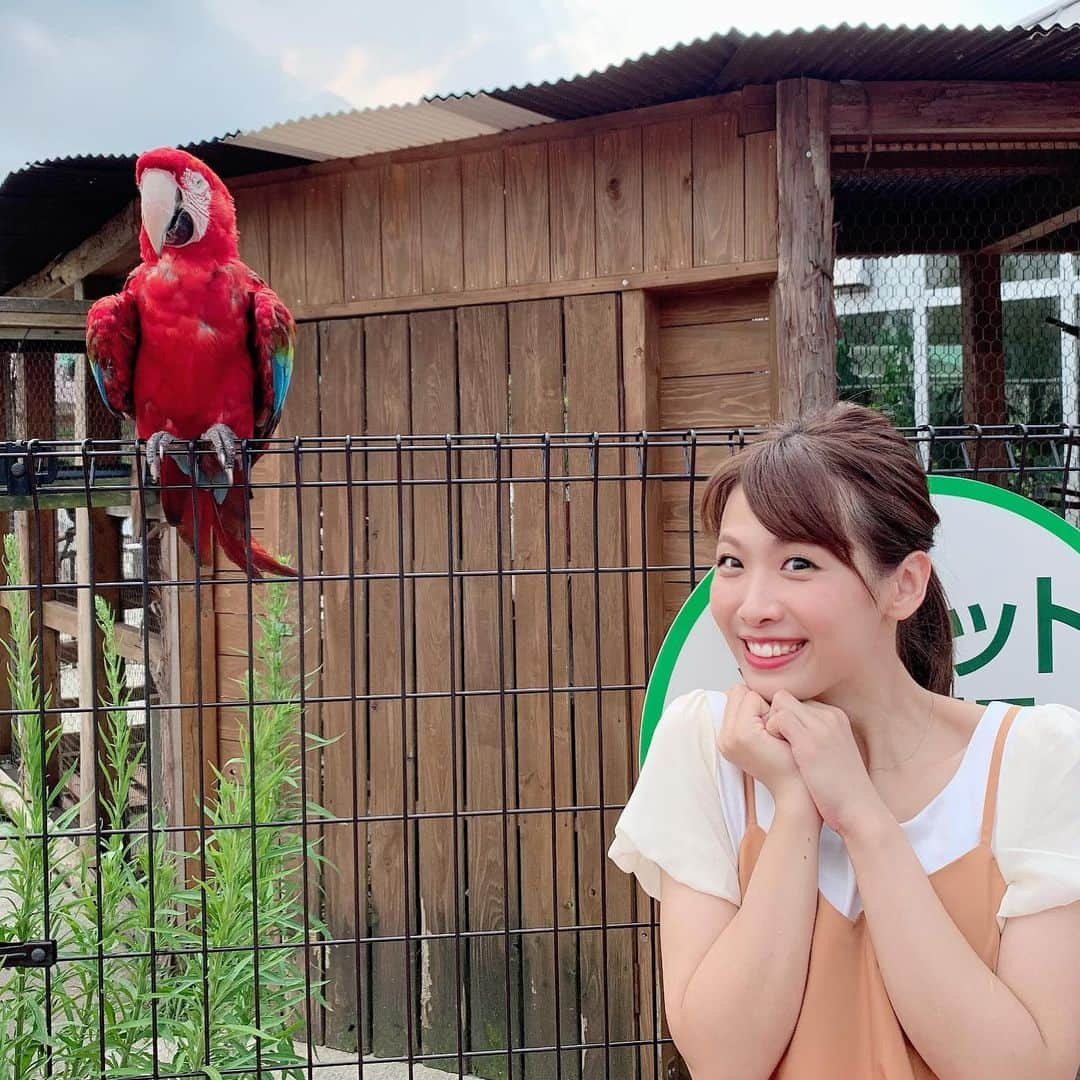 岡野綾夏さんのインスタグラム写真 - (岡野綾夏Instagram)「この後11:23〜📺 #FBS #きらめきパレット 出演します♪ . 夏のお出かけにぴったり🌞 大人も子どもも楽しめるスポットだよ💗 . とにかくかわいいカピバラちゃんは必見👀✨ . とにかく頑張った汗だくの岡野さん☀️ . チャンネルは5ですよ〜😌 . #苦手なアレにも挑戦！ #素の私 #岡野あやか #福岡 #タレント #リポーター」7月26日 8時54分 - ayaka.o531