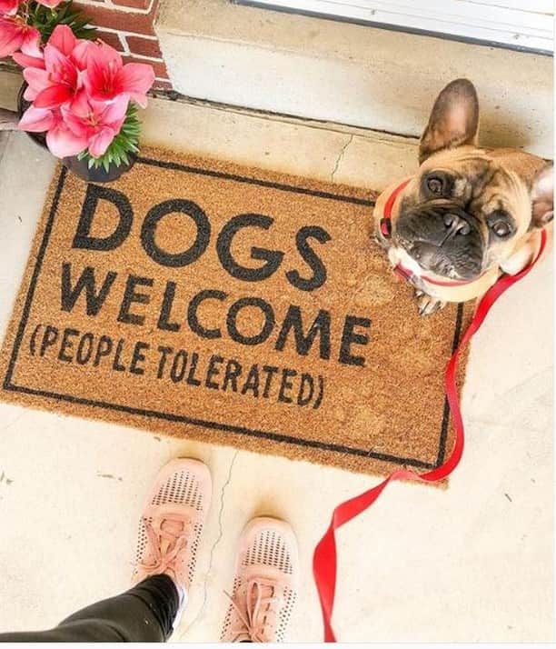 ダンスコのインスタグラム：「This might be our new favorite door mat. Thanks to @ashprice8 for the great pic!」