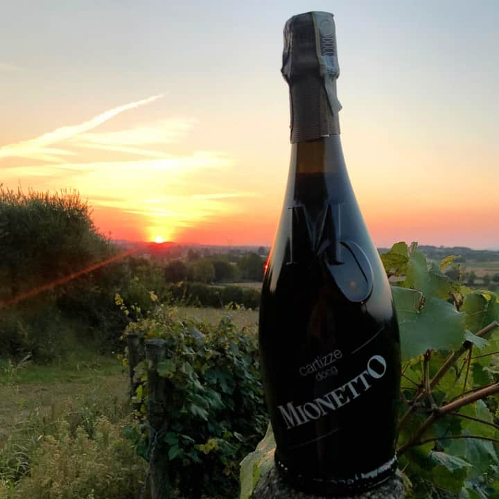 Mionetto Prosecco ČRさんのインスタグラム写真 - (Mionetto Prosecco ČRInstagram)「Vinice, západ slunce a Mionetto, tak tomu říkáme opravdová romantika. ❤️ Napiš nám do komentářů, s kým by ses o tenhle výhled podělil. 😊 #mionetto #mionettoprosecco #prosecco #wineyard #sundown #sunset #romantic #vinice #zapadslunce #summer #vacation #romance #love #proseccovibes」7月26日 0時13分 - mionetto_cz