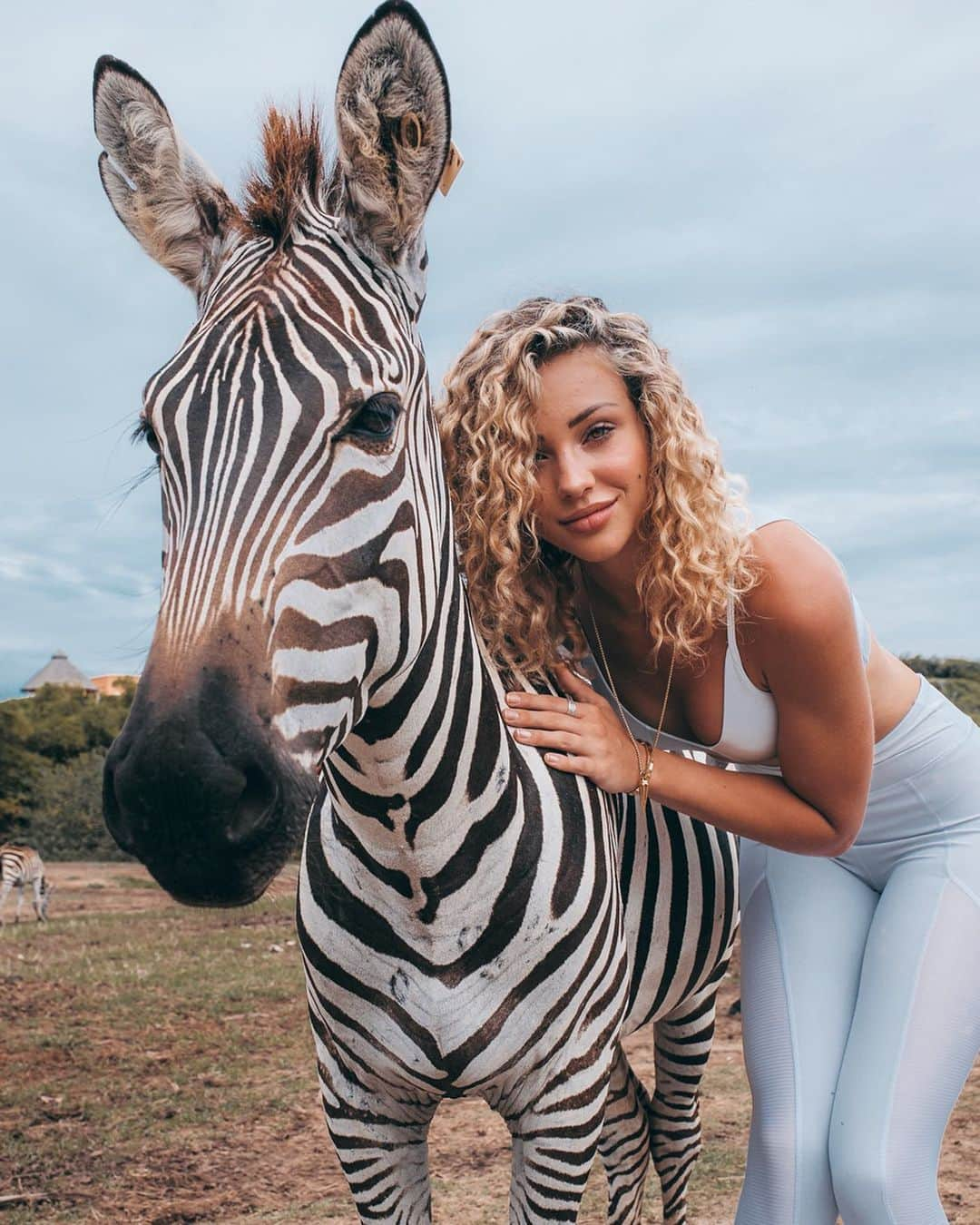 チャーリー・ジョーダンさんのインスタグラム写真 - (チャーリー・ジョーダンInstagram)「THIS ZEBRA 🦓 I wish I could’ve brought him back to LA with me he was so sweet! I saw a wild herd of zebras out in a field on the 30,000 acre sanctuary we were at! I knew they’d be so scared but thought I’d walk over near them anyways and see if I could get close. When I initially walked up of course they ran away. But I proceeded to stand for 15 minutes as they warmed up to me and finally one just...WALKED UP! He let the rest know it was chill and now I’m officially a part of the family. They were a beautiful mix of black and auburn, the baby zebras were fully brown! Wearing @revolve x @lovewave #RevolveSummer」7月26日 0時54分 - charlyjordan