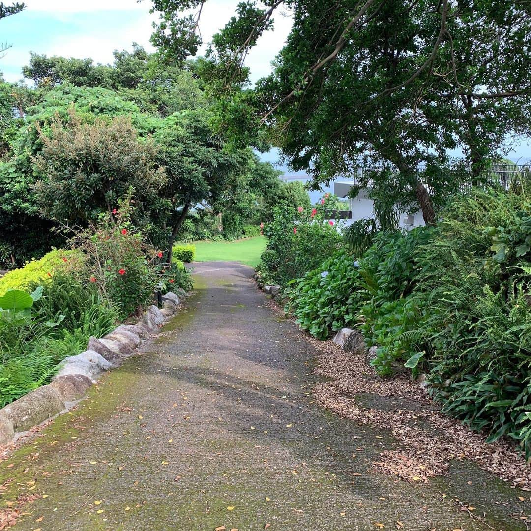 澤田百合亜さんのインスタグラム写真 - (澤田百合亜Instagram)「屋久島旅行2日目 その2  シュノーケルから車で送ってもらい、2日目の宿に。 グリーンホテル屋久島に。 外観からすごくステキで広々したホテルでした。 部屋はちょっとこじんまりしてるように見えるけど、バッチリオーシャンビューでした。外にはでっかい庭！南国っぽいよく整備されたお庭を散策して安房港に行ってみました。ちょっと歩きすぎた…笑 猫の家族に。子猫ちゃんたち、のんびりしてました。お母さんと全然色違うんだけどちょっと遠くにお父さんみたいな猫ちゃんが。めっちゃ子猫ちゃんと同じ色。笑 可愛かった🐱💕 本当はいその香りでご飯を食べようと思ったんだけどまさかの臨時休業…！ 残念…涙  なので、ホテルから少し離れてるかたぎりさんっていうお店でご飯を食べました。 美味しかった！オリーブのフリット初めてだったけど、オリーブ好きだから超美味しかったし量も沢山で嬉しかったなあ。 黒豚ステーキ定食は1300円 ボリューム超あるのにこの値段。コスパ良すぎる…お客さんも結構いました。 柔らかくてすごく美味しかったし、お塩でもワイン醤油、オニオンソースもどれも黒豚の甘みを引き出してほんとに美味しかった！！ かたぎりさん、かなりオススメです…！ ご飯を食べてすぐホテルに戻り、次の日はいよいよ今回の旅の目玉、白谷雲水峡トレッキングのため、かなり早く就寝…！ つづく  #屋久島 #屋久島旅行 #屋久島グリーンホテル #yakushima #猫 #安房港 #安房 #かたぎりさん #黒豚ステーキ #黒豚 #グルメ #オリーブの実 #海 #オーシャンビュー #Ocean #japanese #japan #japanesegirl #ひとり旅 #1人旅女子 #女子旅 #女ひとり旅」7月26日 0時55分 - yuria1991