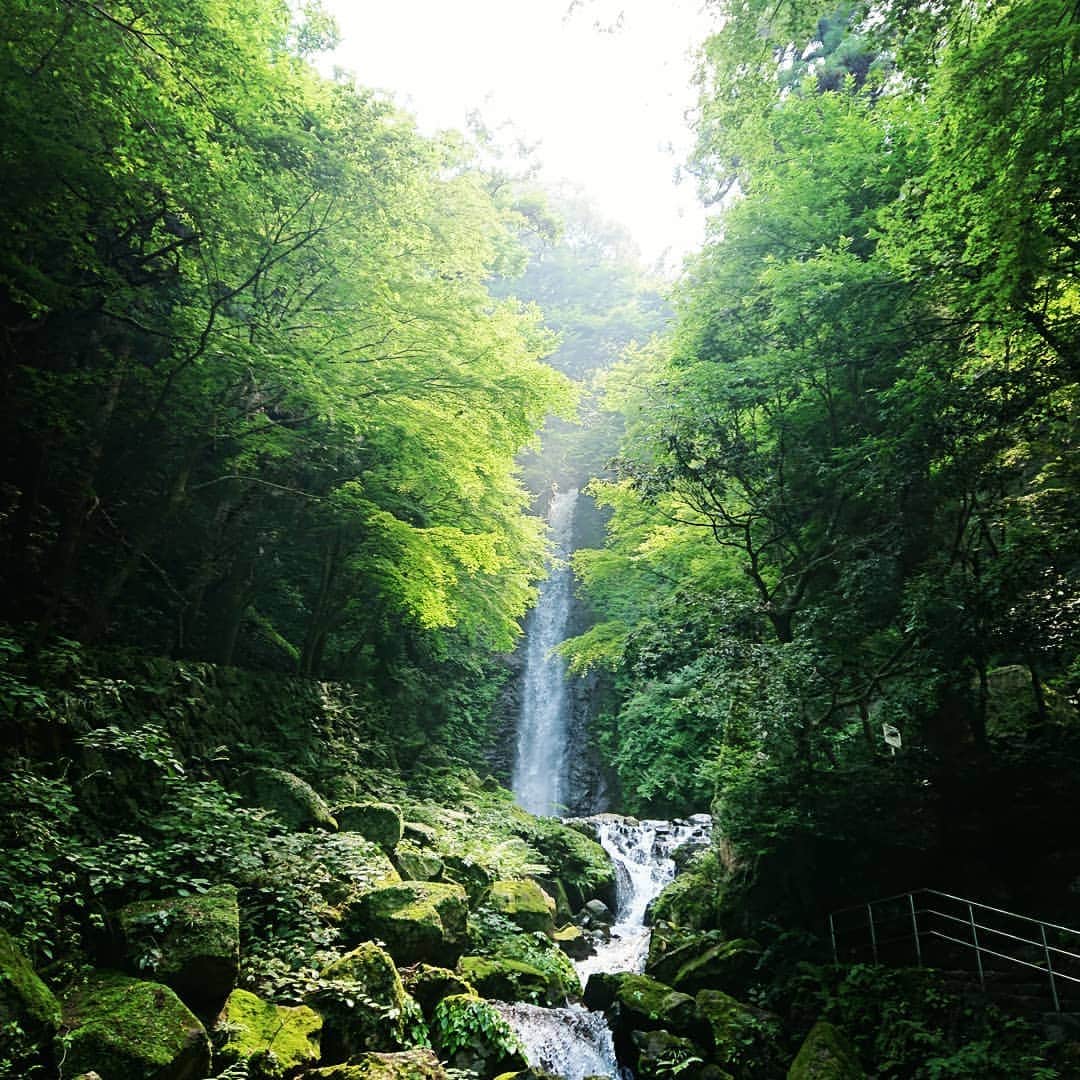 木村玲美のインスタグラム：「自然とふれあう🌳 そしていっぱい遊ぶ🍦🎥♨️🏋️ #養老の滝  #waterfall #holiday」