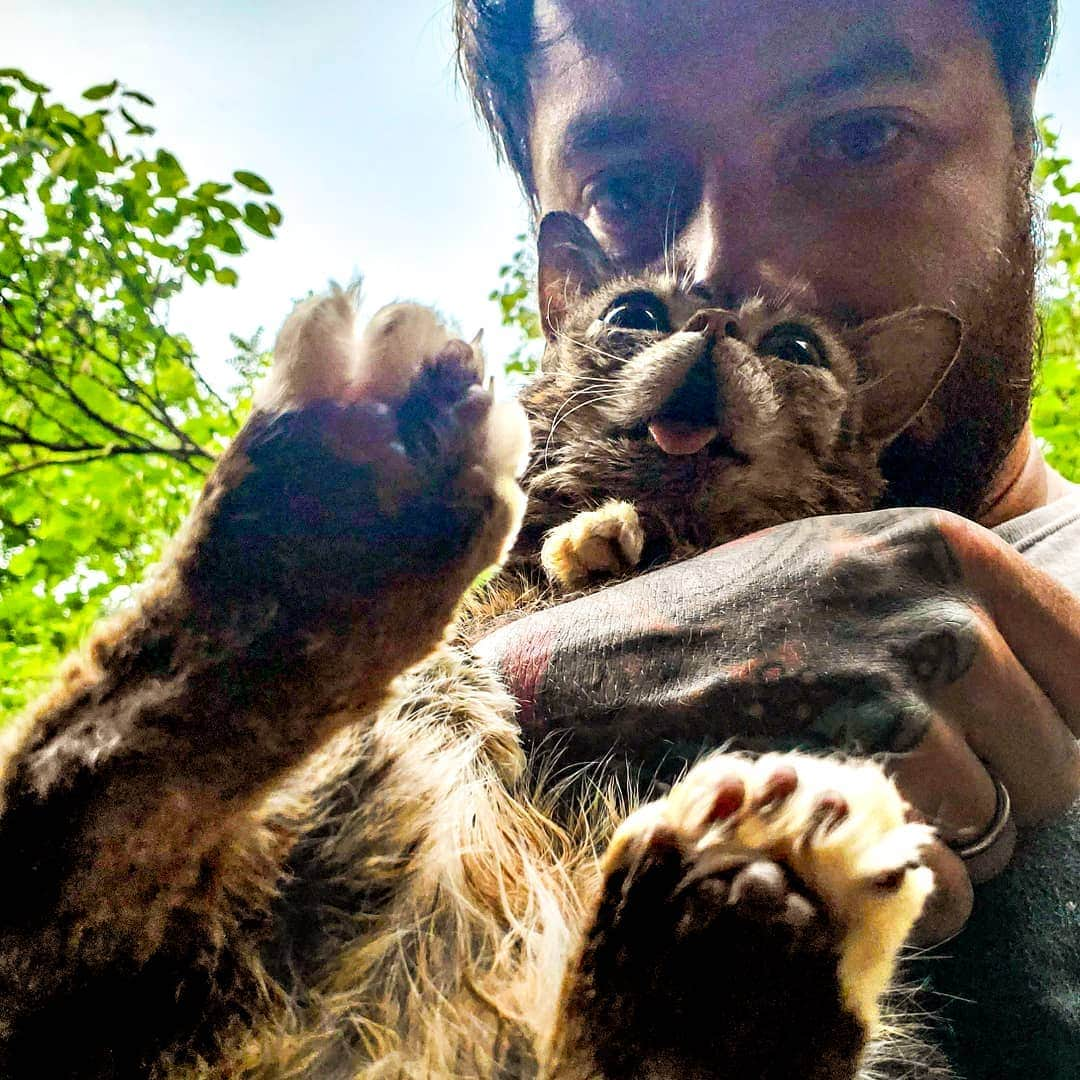 Lil BUBさんのインスタグラム写真 - (Lil BUBInstagram)「BUB's beans.」7月26日 2時28分 - iamlilbub