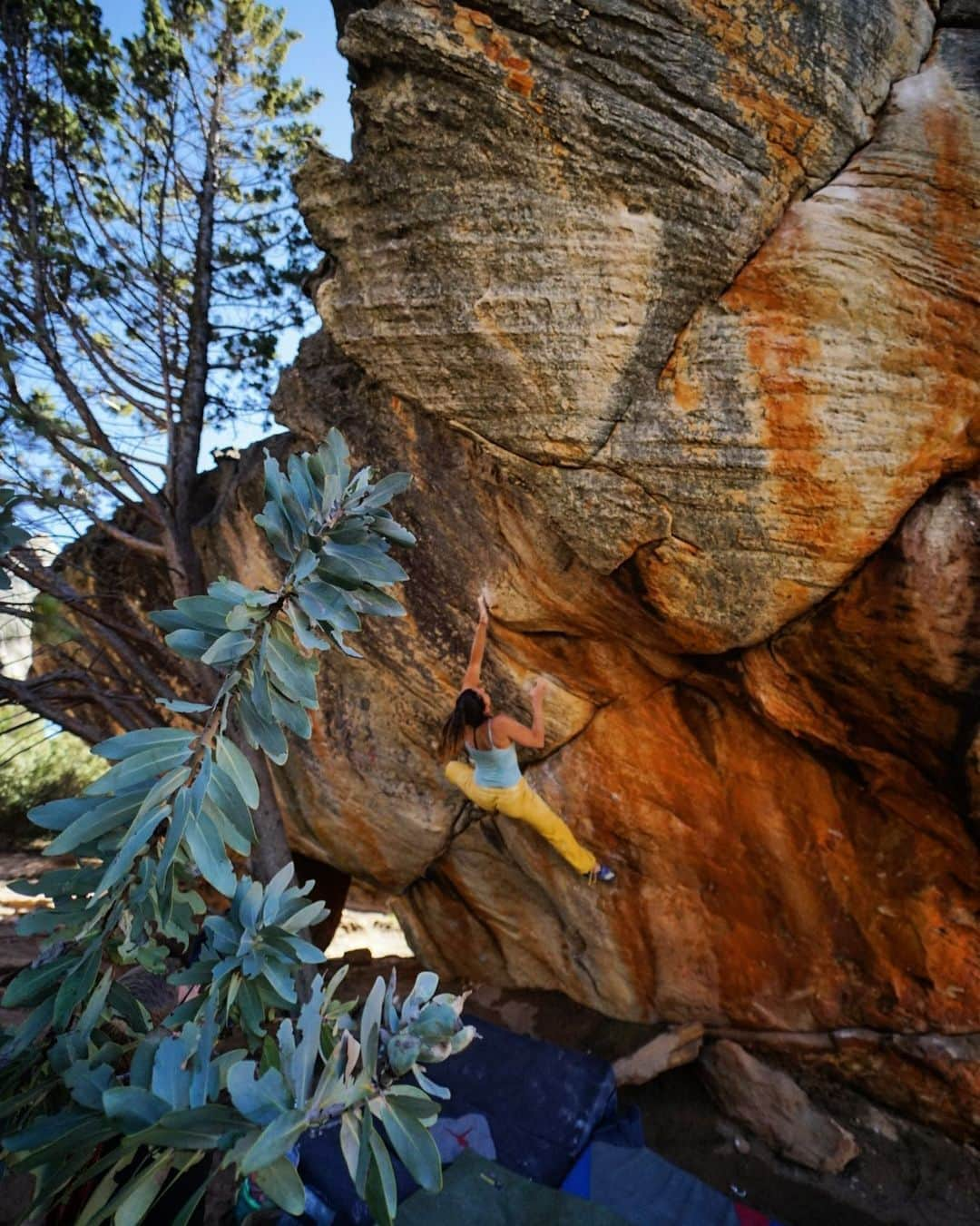 Alexis Mascarenasのインスタグラム：「A Question of Balance😻  Today was supposed to be a rest day but I don’t have any self control 📸 @a.geiman  #restdaysending #bouldering #rocklands #organicclimbing #frictionlabs #rocklandsbouldering #southafrica」